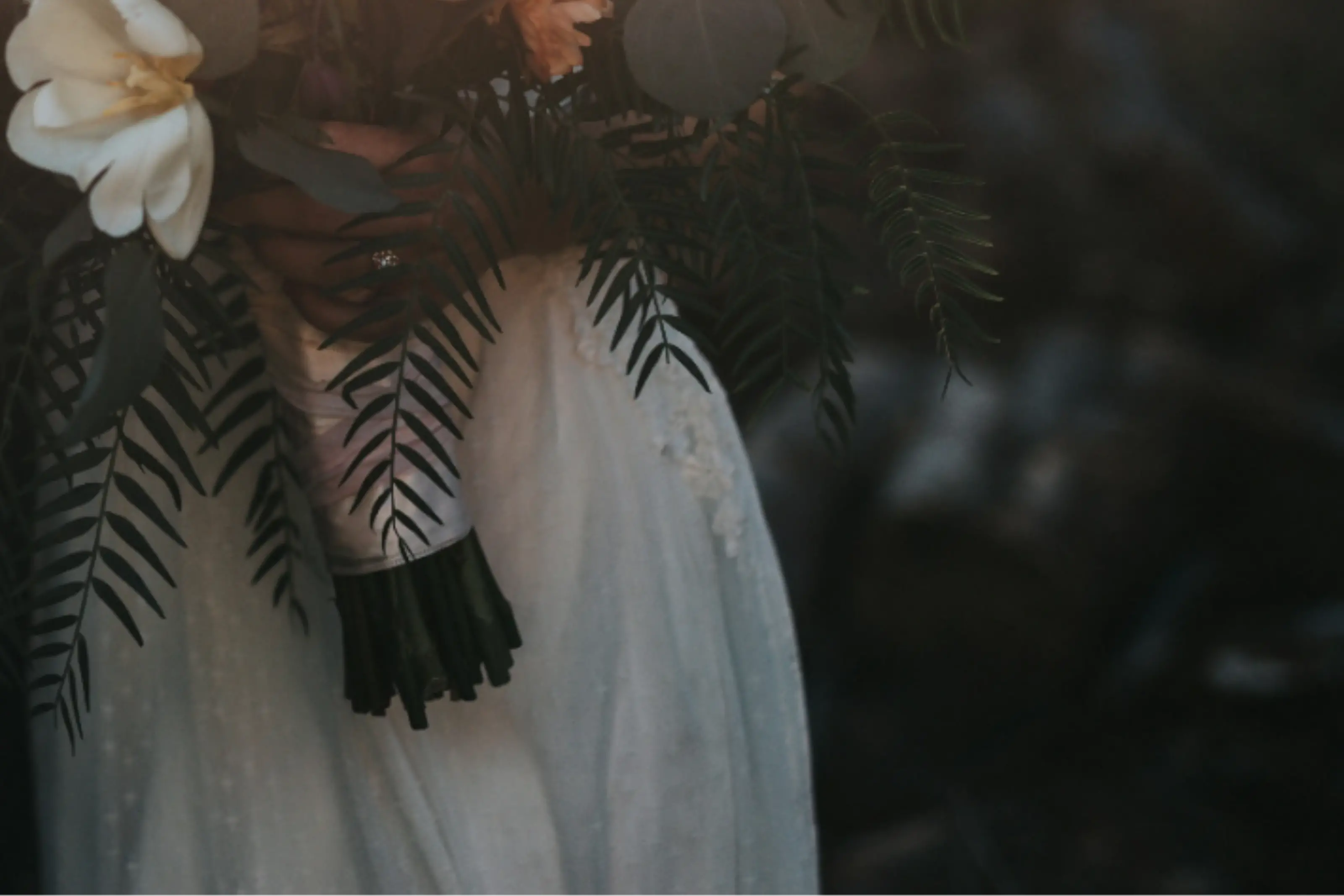 Lustrous Leaves