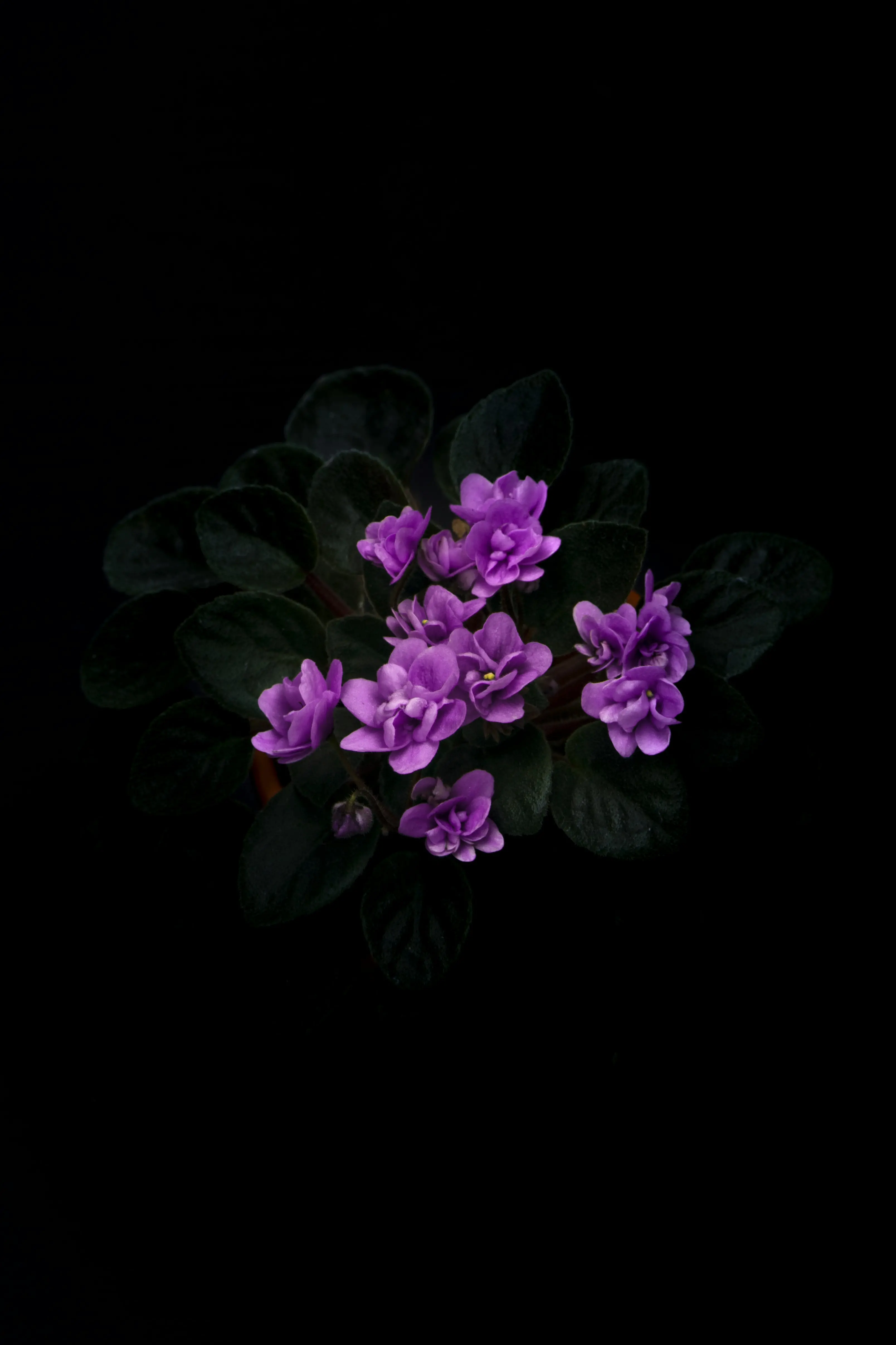 Testing Product a